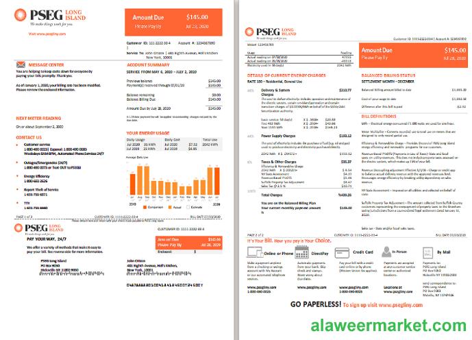 USA Long Island PSEG electricity